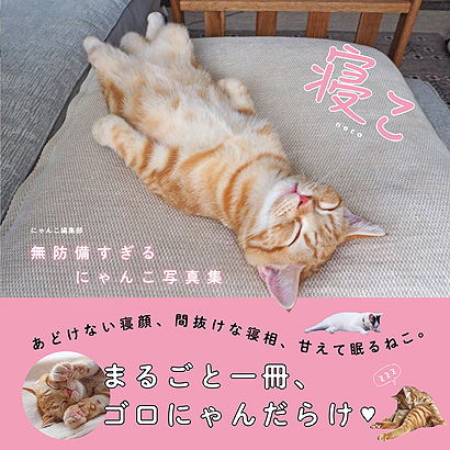 寝こ　無防備すぎるにゃんこ写真集表紙画像