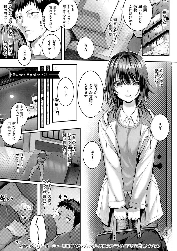 サンプル 13