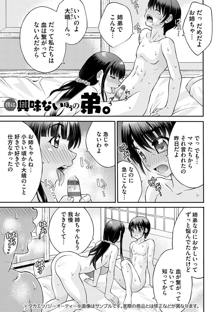 サンプル 13