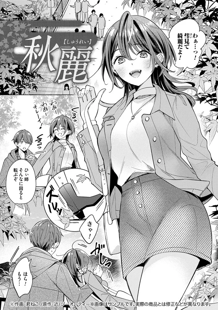 サンプル 6