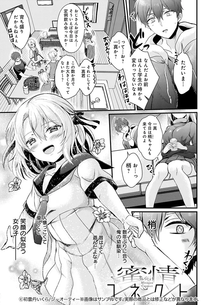サンプル 13