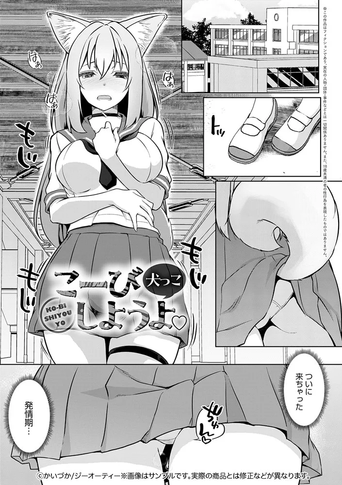 サンプル 15