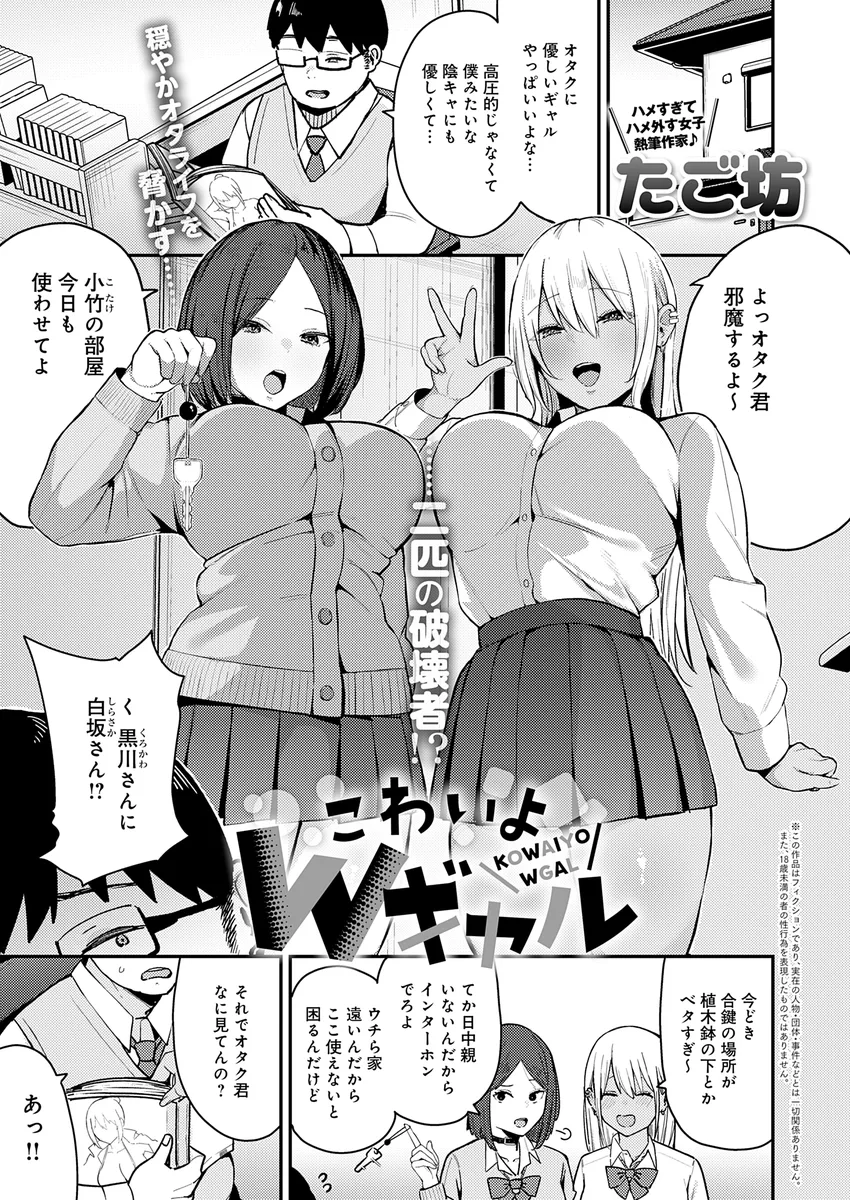 サンプル 18