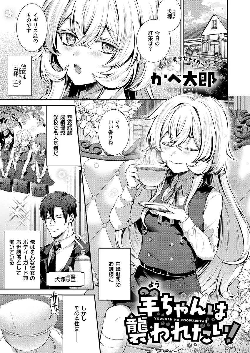 サンプル 18